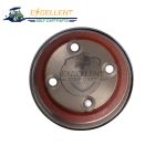 Rear Brake Drum DS 101791101