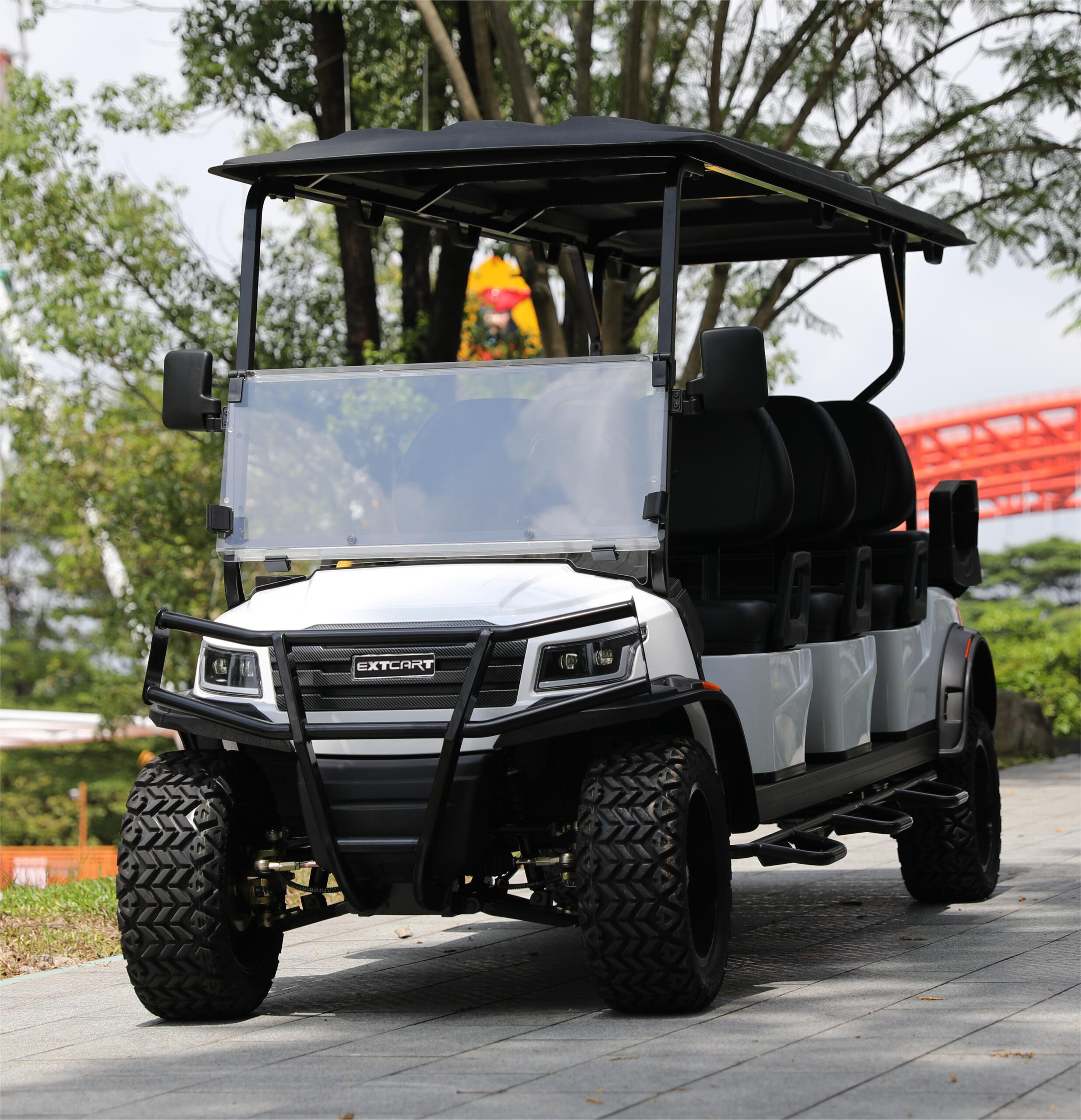 6-seater golf cart